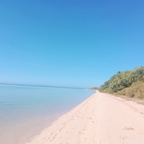 ニューカレドニア水上コテージの画像