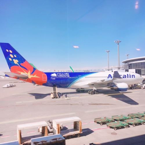 飛行機、エアカランの画像