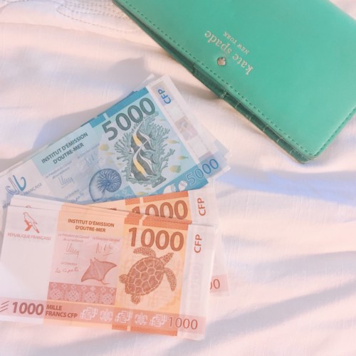 ニューカレドニアの通貨の画像