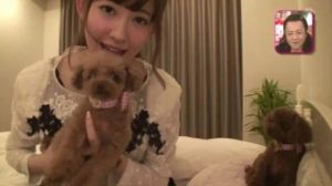 小嶋陽菜の犬の画像
