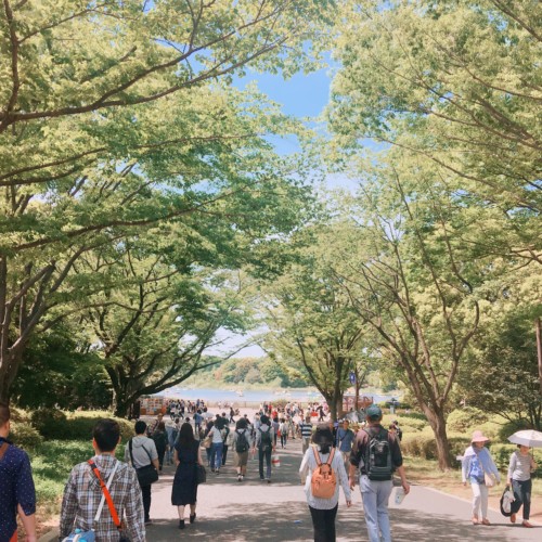 昭和記念公園の画像