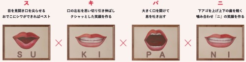 スキパニスマイルの画像
