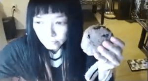 Solachannelの画像