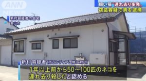 新村健治の画像